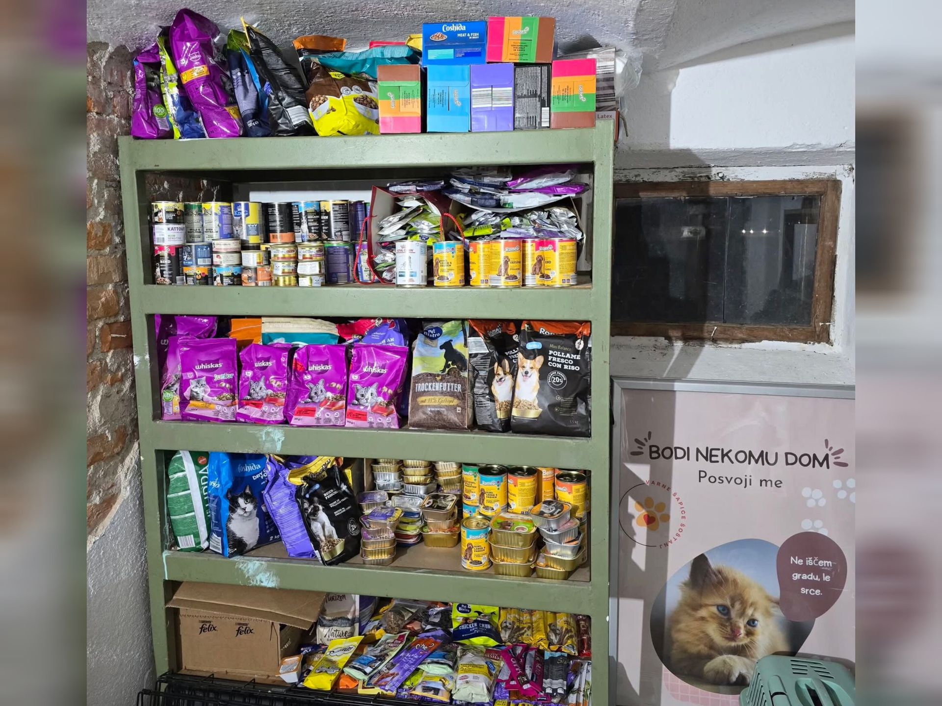 Srčna akcija OŠ KDK Šoštanj: Društvo Varne šapice razveselili z ogromno količino hrane za živali