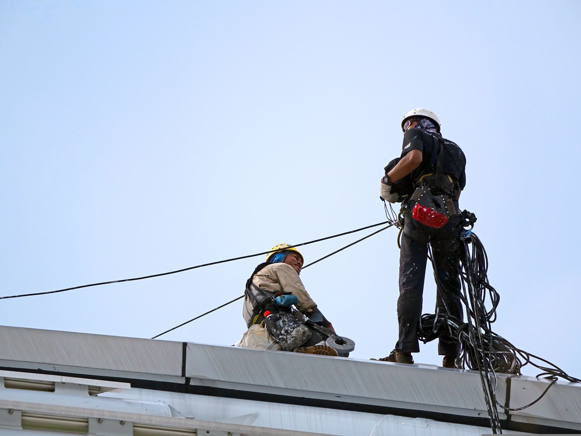 ZSSS ob svetovnem delu varnosti pri delu opozarja na visoko število smrtnih delovnih nesreč