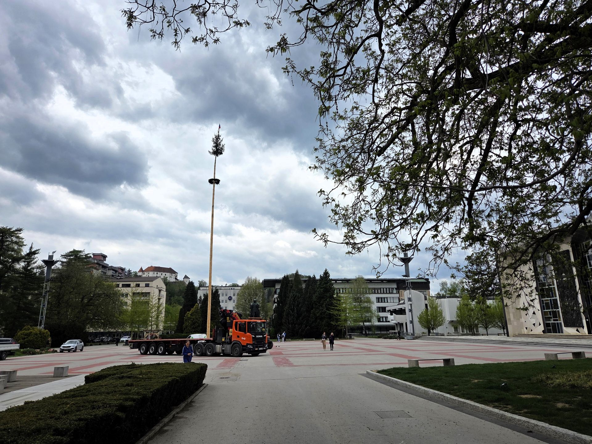 FOTO: Titov trg že krasi mlaj 