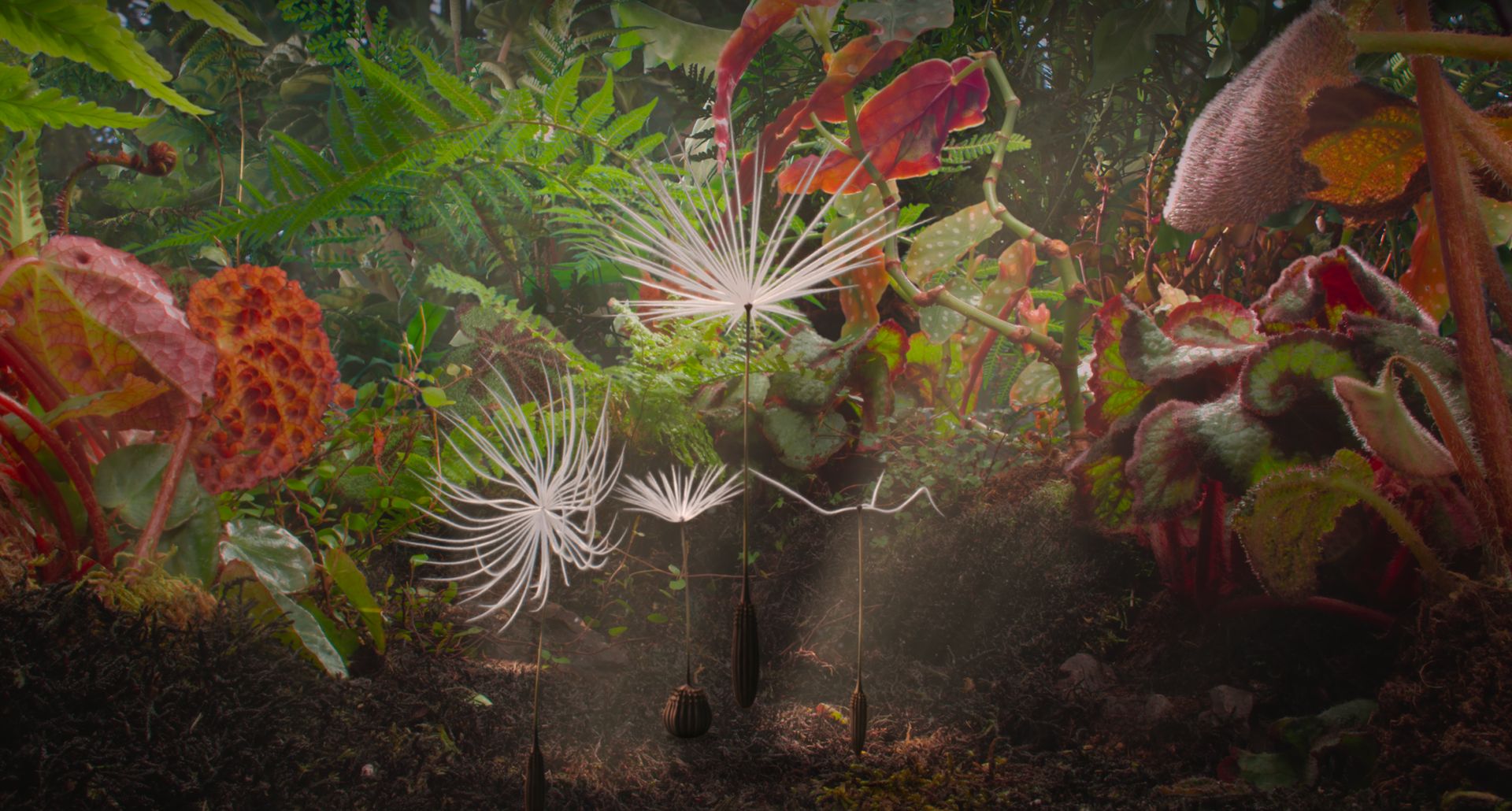 Potovanje regratove lučke
