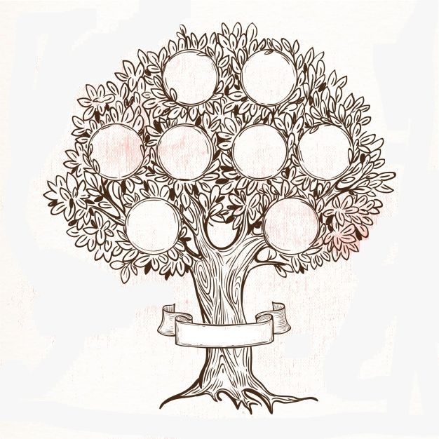 Rodoslovno srečanje