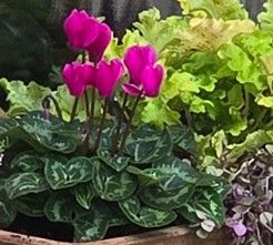 Sejem sadik, oblačil in knjig