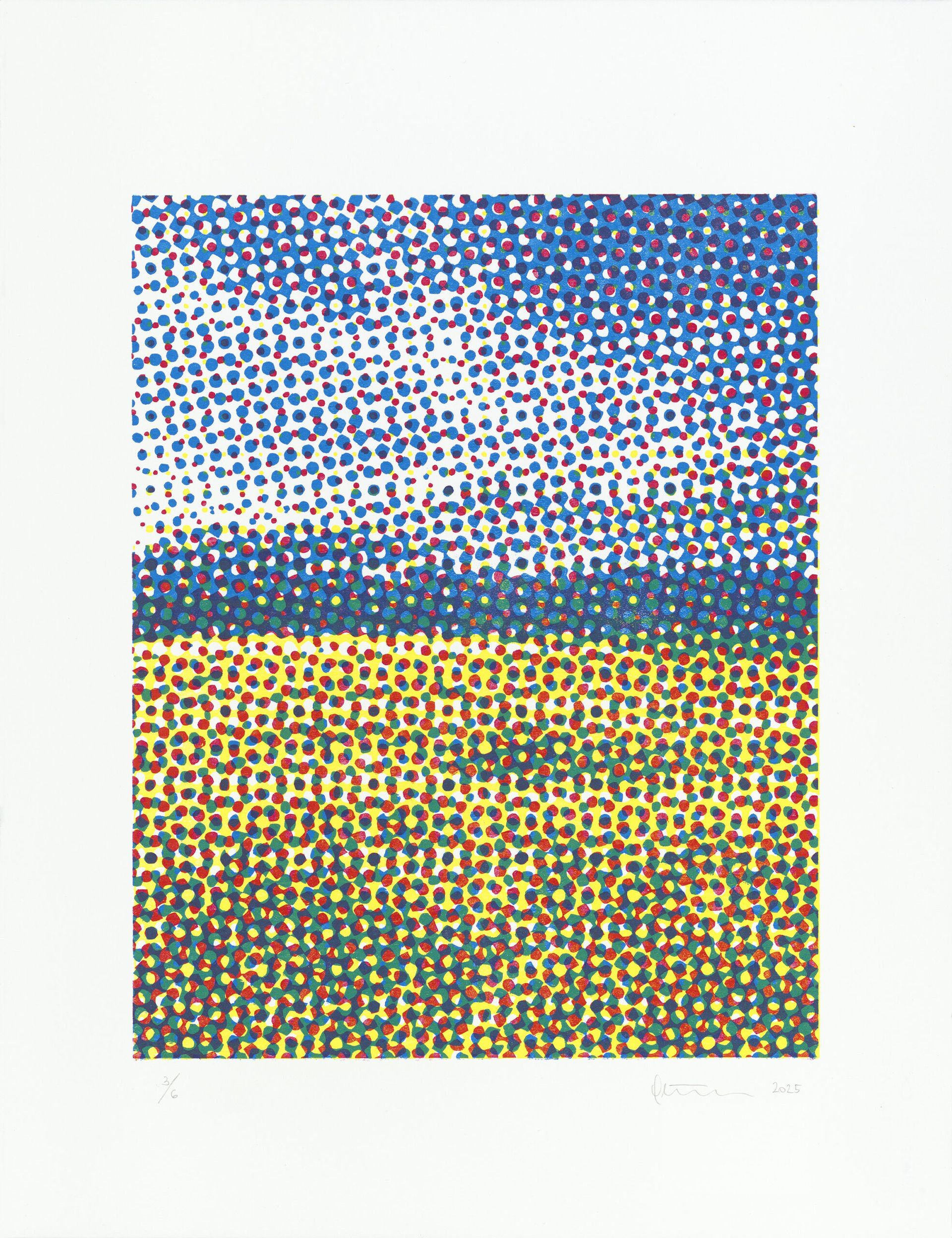 Vodstvo po razstavi Transformacija podobe z Oliverjem Pilićem