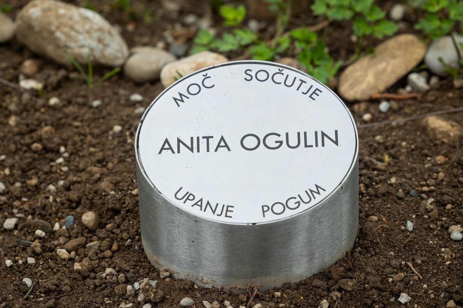 Zveza Anita Ogulin opozarja na vse težje zagotavljanje brezskrbnega otroštva