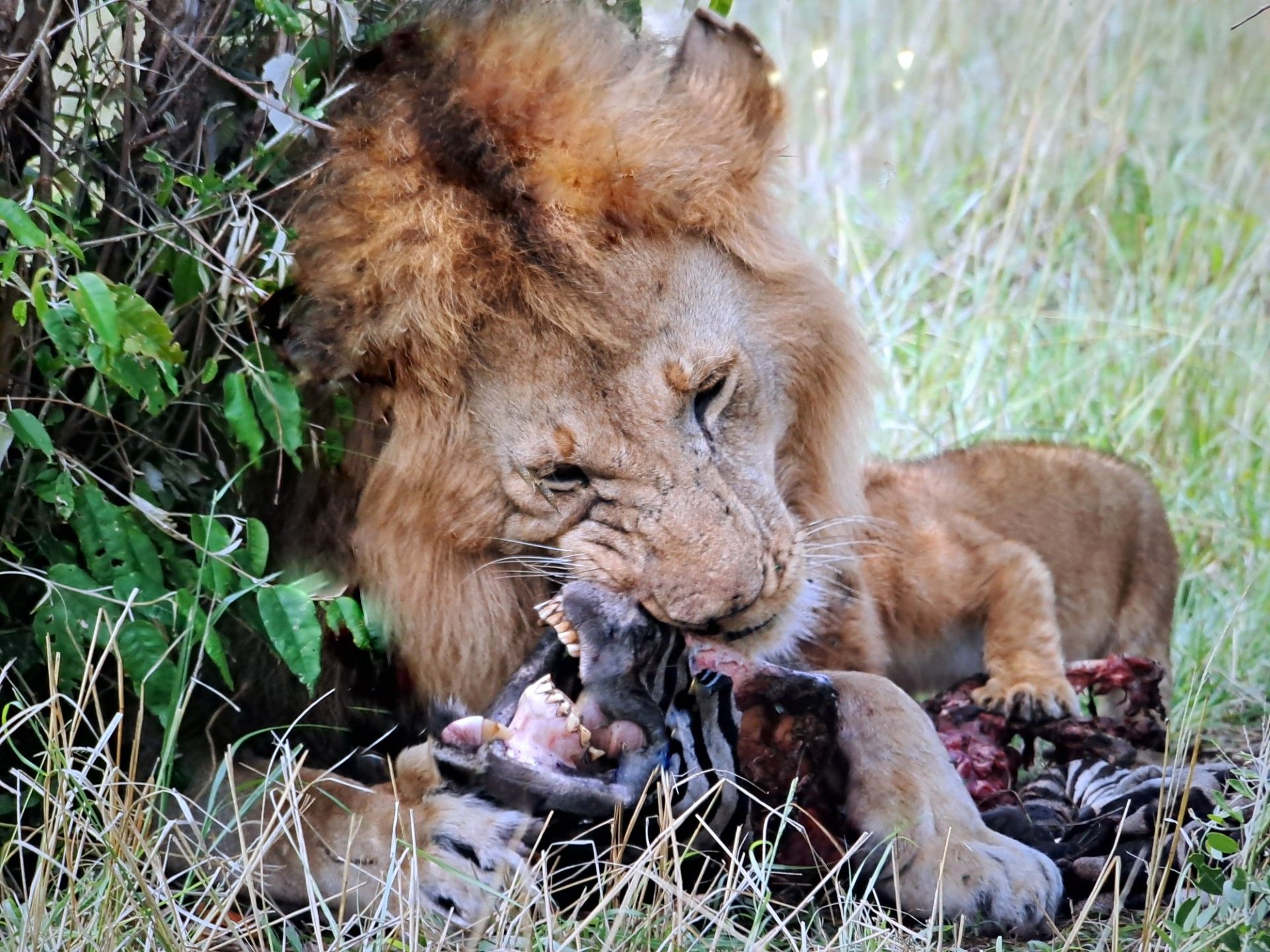 Oglej si svet, ko si zrelih let: Kenija in Tanzanija