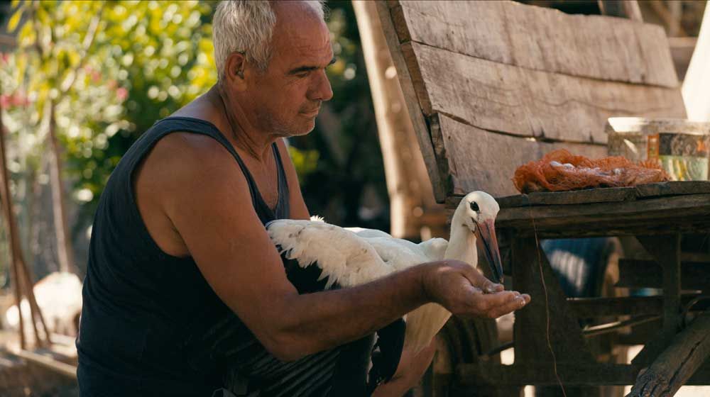 Povest o Siljanu