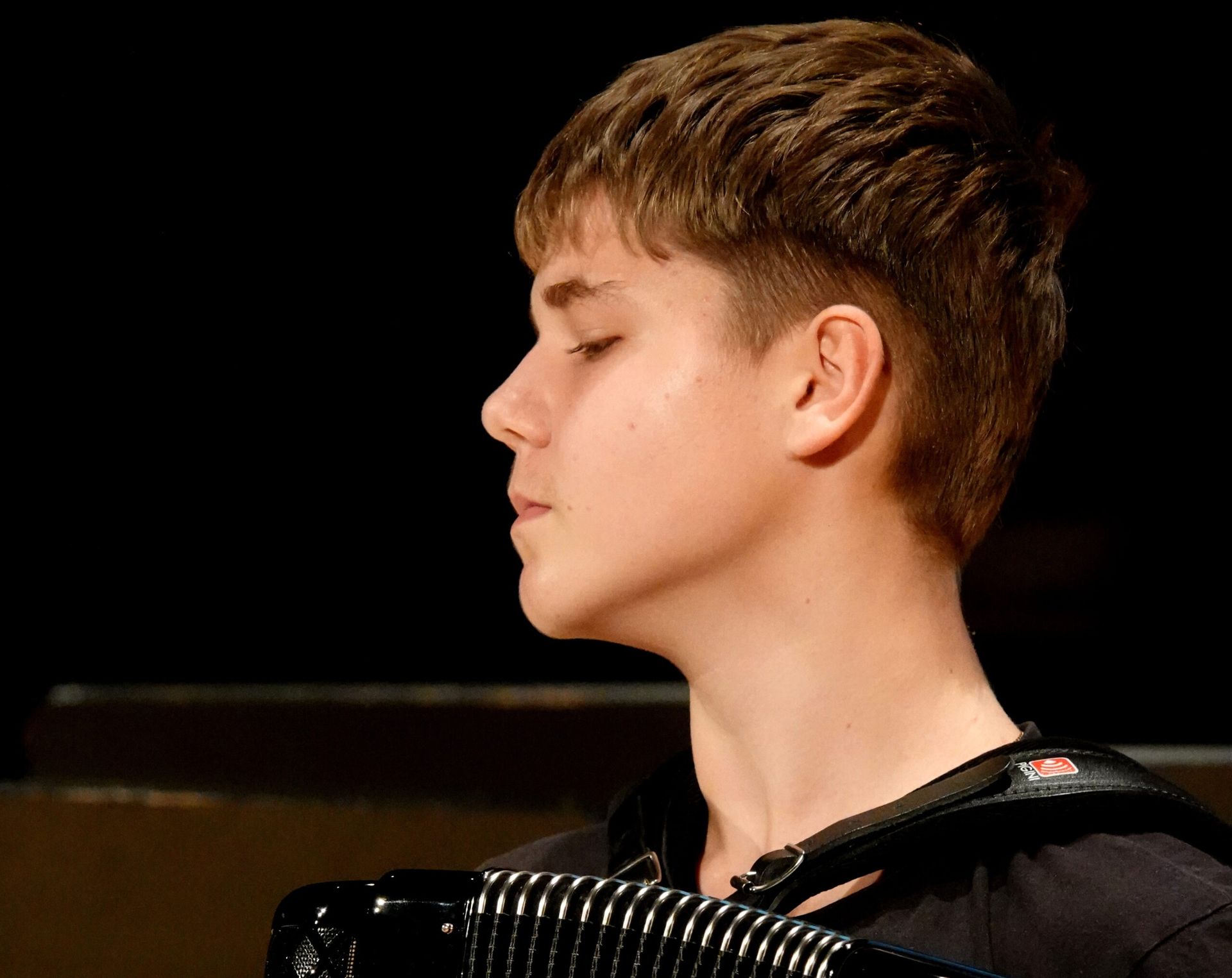 Marko Rošer, harmonika