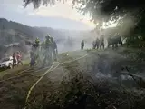 Strela zanetila gozdni požar v Velunji