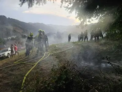 Strela zanetila gozdni požar v Velunji