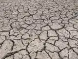 Ekstremni pojavi ogrožajo stabilnost celotne prehranske verige