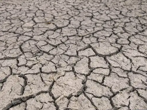 Ekstremni pojavi ogrožajo stabilnost celotne prehranske verige