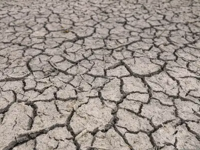 Ekstremni pojavi ogrožajo stabilnost celotne prehranske verige