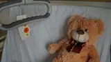Z akcijo Naša moč je zlate barve opozarjajo na izzive otrok obolelih za rakom