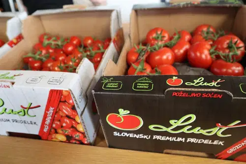 Slovenski paradižniki na ocenjevanju ZPS v povprečju prejeli boljšo oceno kot tuji