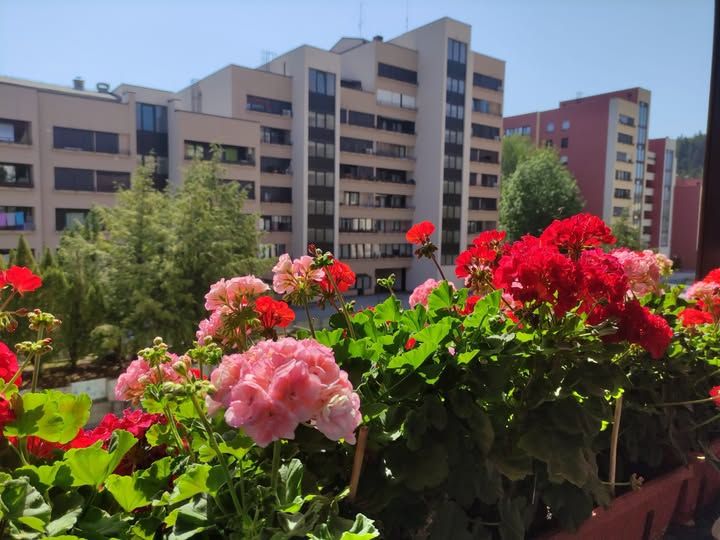 Mestna četrt Velenje - Levi breg septembra obeležuje 45 let