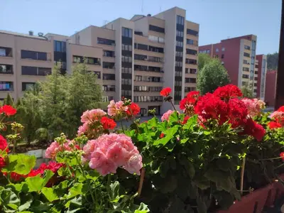 Mestna četrt Velenje - Levi breg septembra obeležuje 45 let