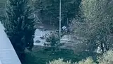 Pri Esotechu prišlo do prometne nesreče, cesta je zaprta