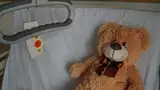 Ob mednarodnem mesecu otroškega raka pozivi za enake možnosti teh otrok