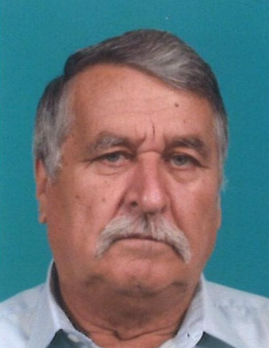 Branko Koletnik
