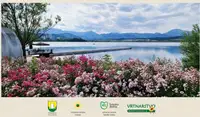 Velenje, mesto cvetja 2026: V petek bo v Vili Bianca potekal zaključek akcije s podelitvijo priznanj