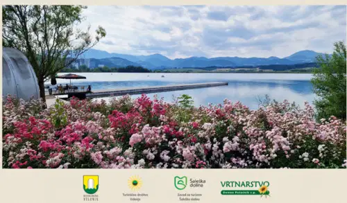 Velenje, mesto cvetja 2026: V petek bo v Vili Bianca potekal zaključek akcije s podelitvijo priznanj