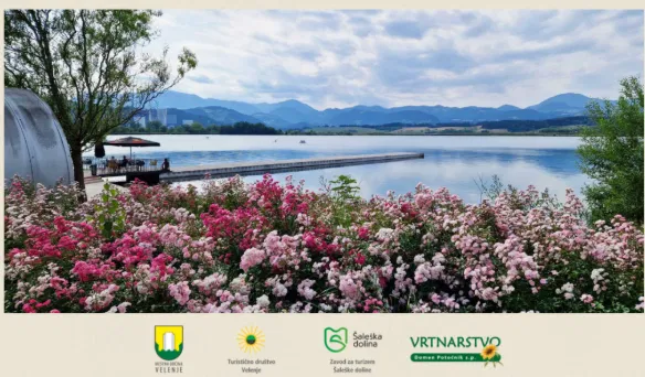 Velenje, mesto cvetja 2026: V petek bo v Vili Bianca potekal zaključek akcije s podelitvijo priznanj