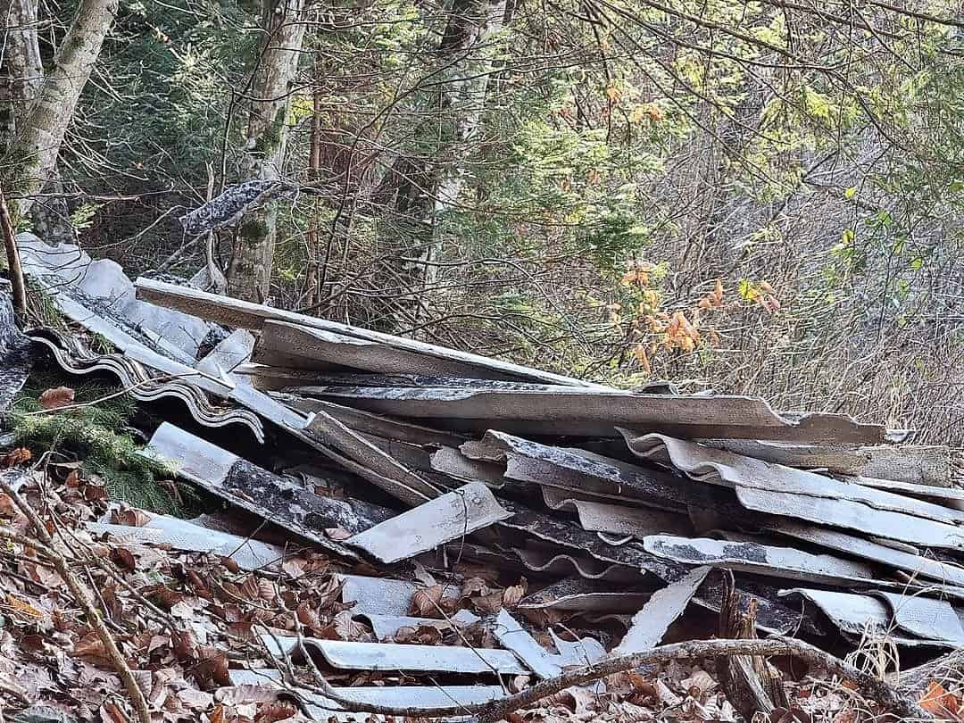 Nekdo je salonitne plošče odvrgel kar v gozd