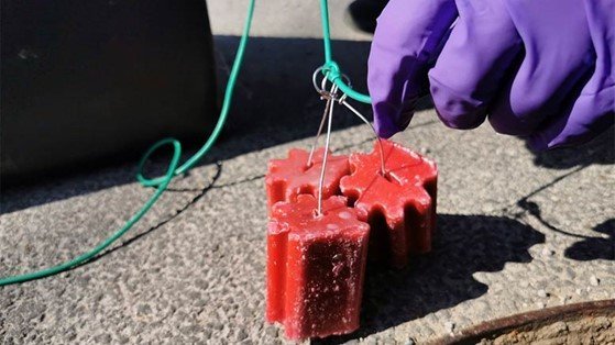 Obvestilo o izvajanju deratizacije na območju Šaleške doline