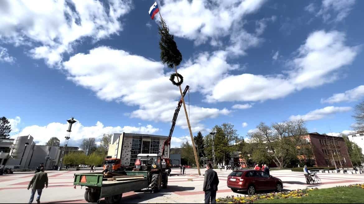 VIDEO: Danes so na Titovem trgu postavili mlaj