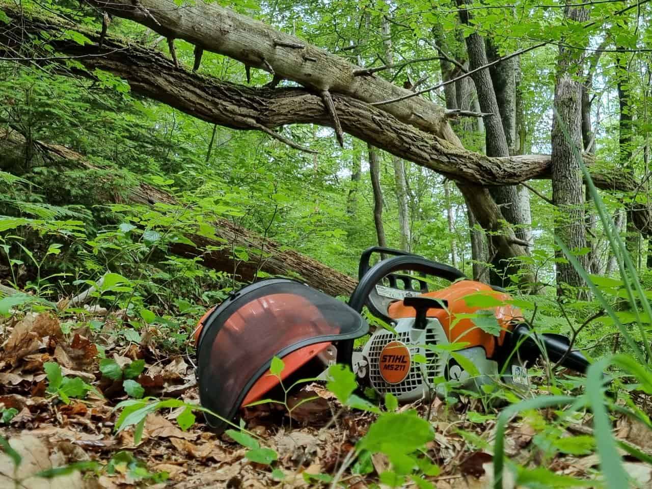 V občini Šoštanj pri podiranju drevja umrla oseba