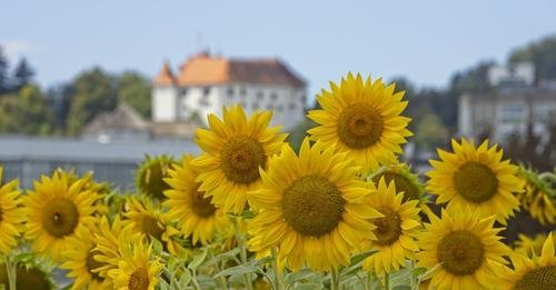 Druga delavnica Podnebno nevtralna pametna mesta