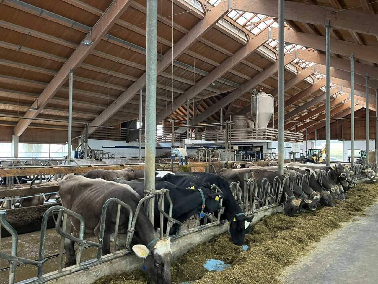 70 tisoč evrov državnih pomoči za kmetijstvo