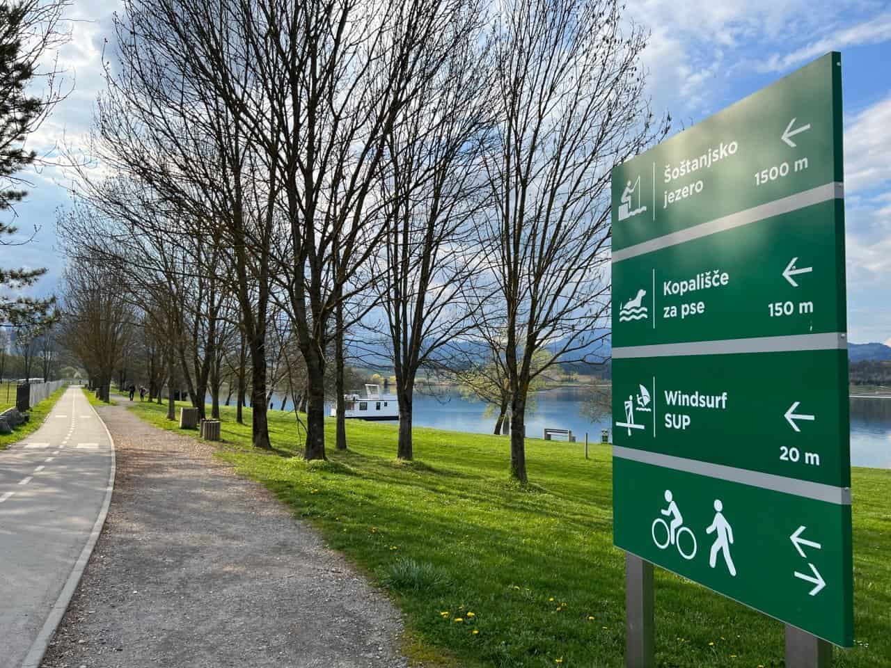 Premogovnik Velenje izvaja sečnjo dreves na območju Velenjskega jezera