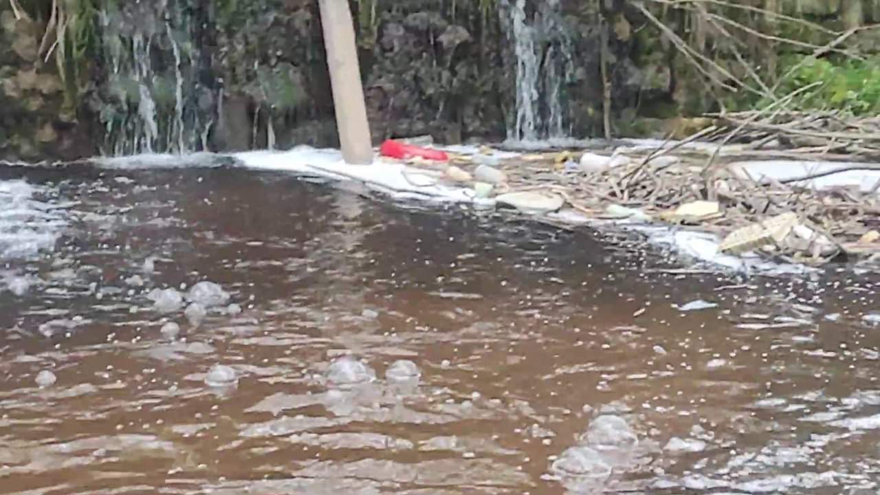 Ribiška družina Velenje opozarja na nenavadno penjenje vode #video