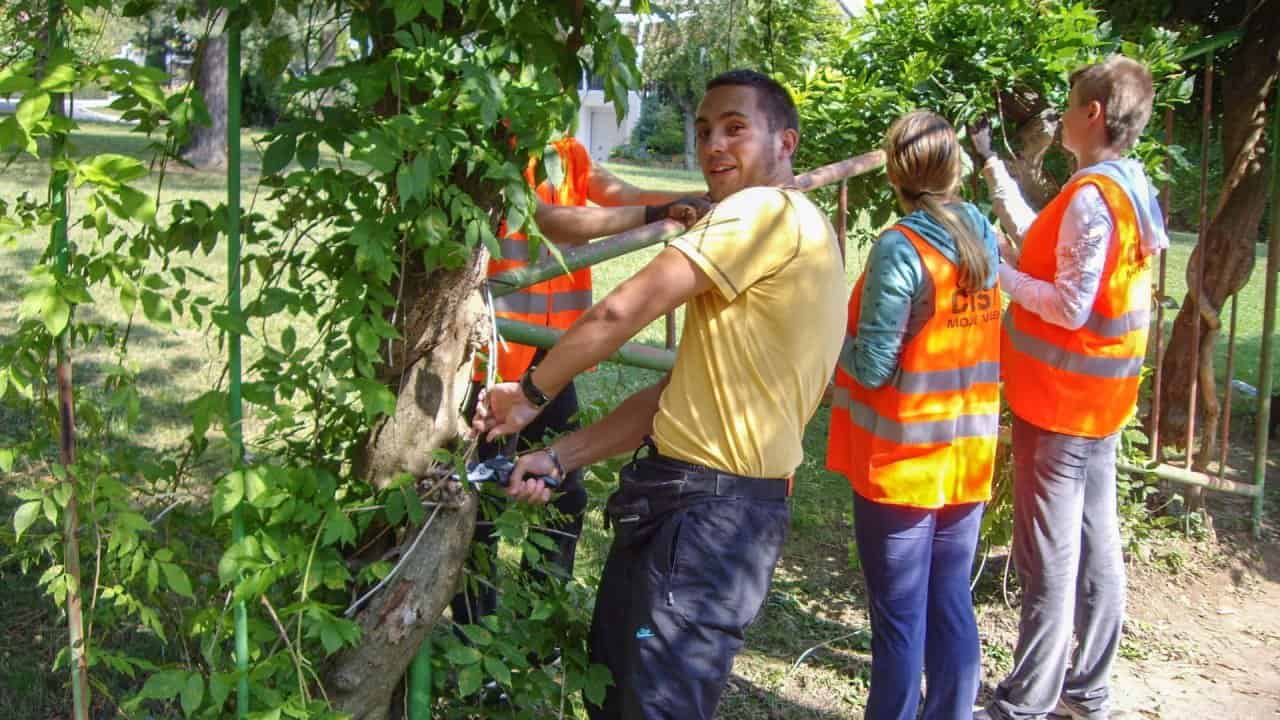 Več kot 130 dijakom bodo omogočili počitniško delo