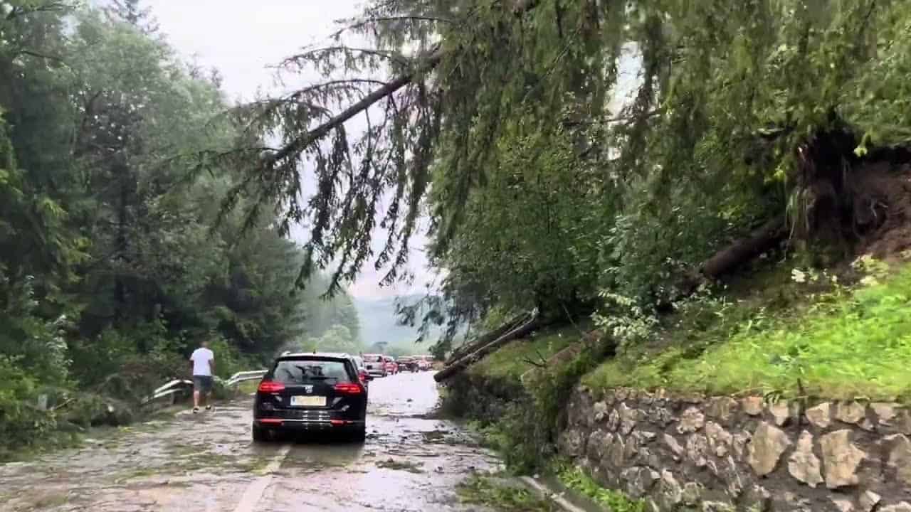 VIDEO: Neurje podiralo drevesa pri Hudi luknji
