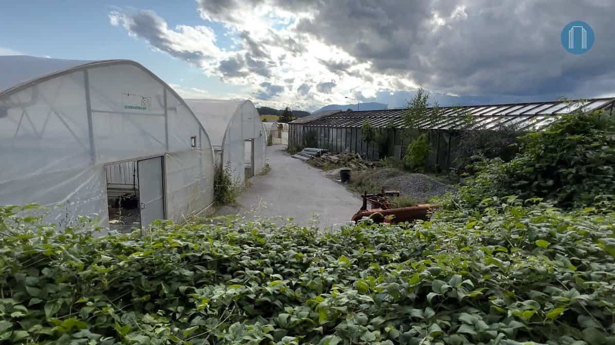 VIDEO: Načrtujejo gradnjo stanovanj na območju vrtnarije PUP v Velenju