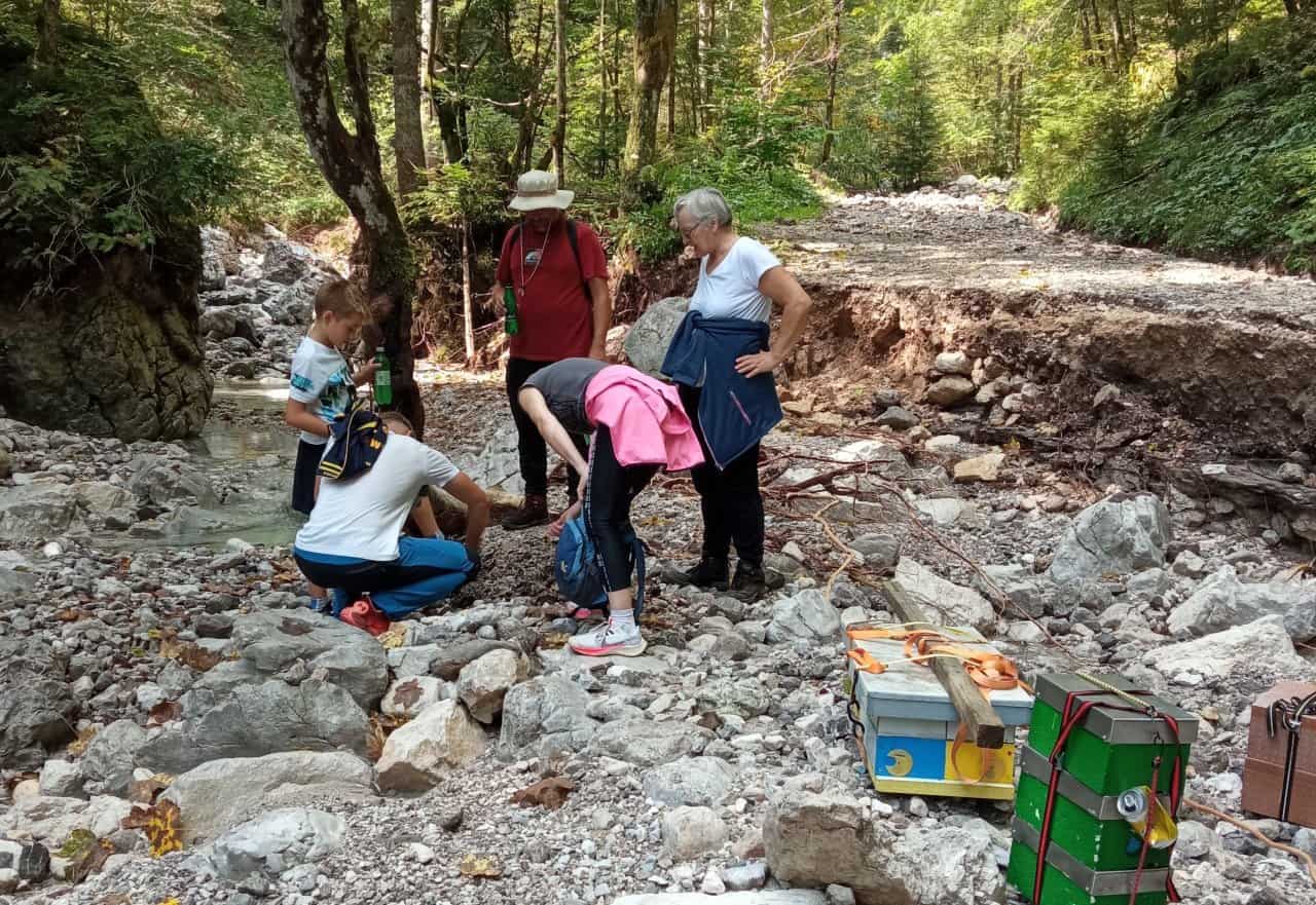 Velenjski čebelar pomagal rešiti plemenilno postajo v Lučah #foto