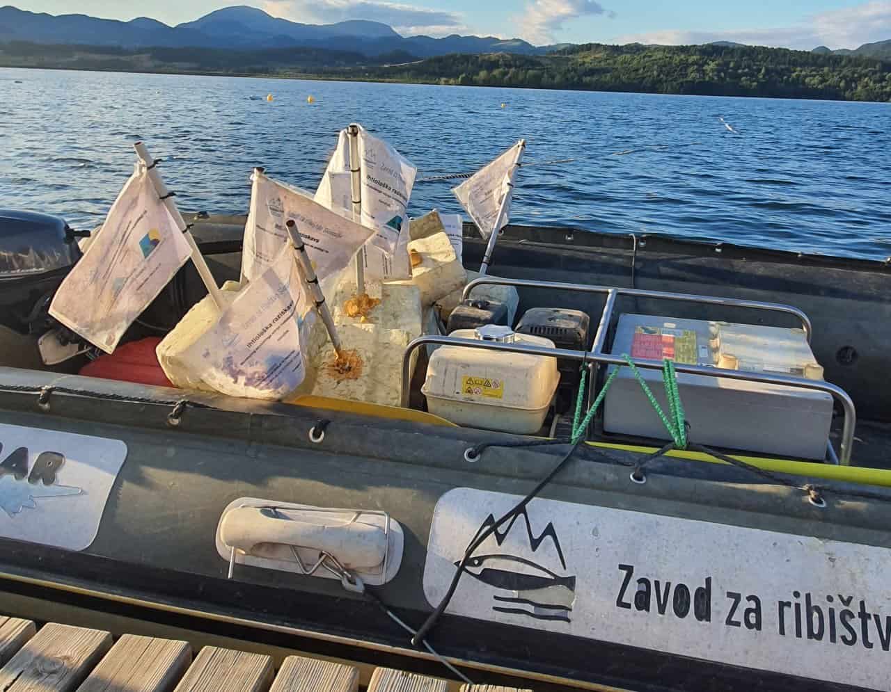 Monitoring rib na območju Velenjskega jezera