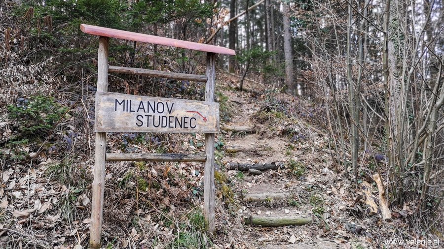 Kaj se v nedeljo, 17. 03., dogaja v Velenju in okolici?