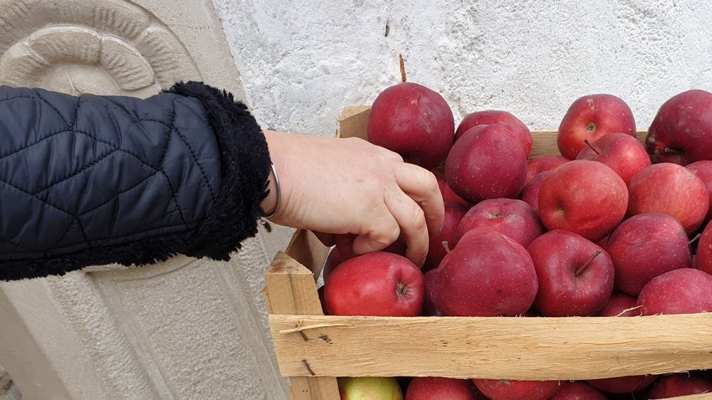 Ob Velenjskem gradu vas čakajo grajska jabolka