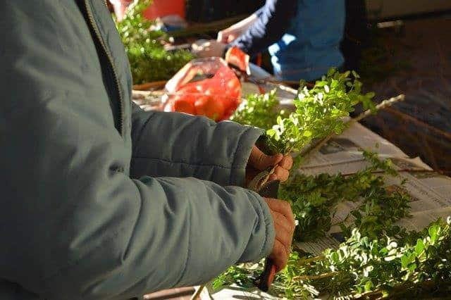 Društvo Revivas Škale: Prikaz izdelave in okrasitve snopa #video