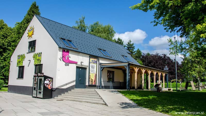 Torkova peta: Zmajček shranjevalček