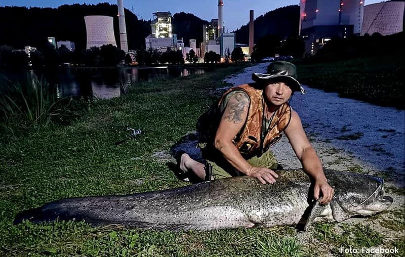 Iz Šoštanjskega jezera potegnil 266 cm velikega soma