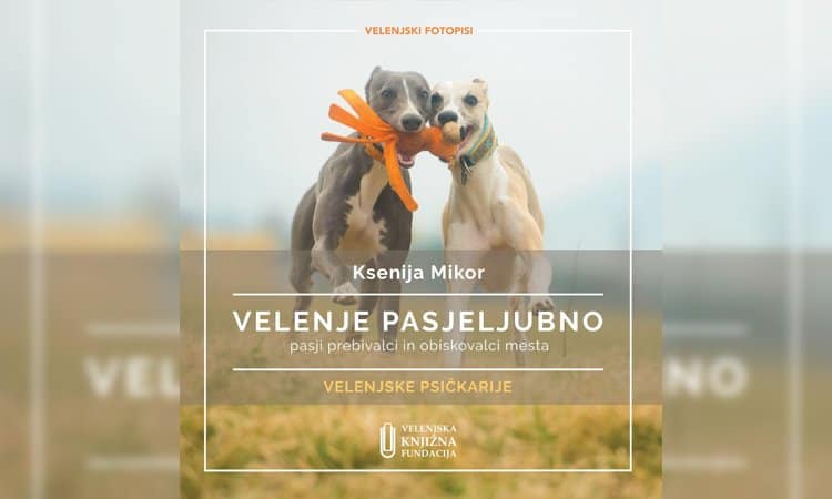 Velenje pasjeljubno