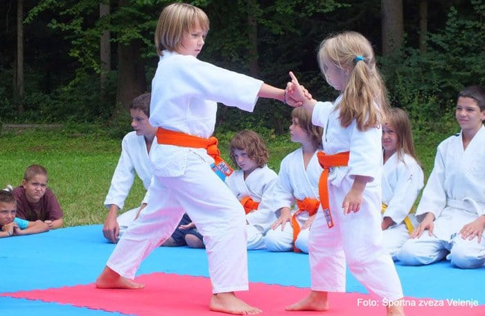 V soboto 10. Obletnica ŠKD Bushin AIKIDO Velenje