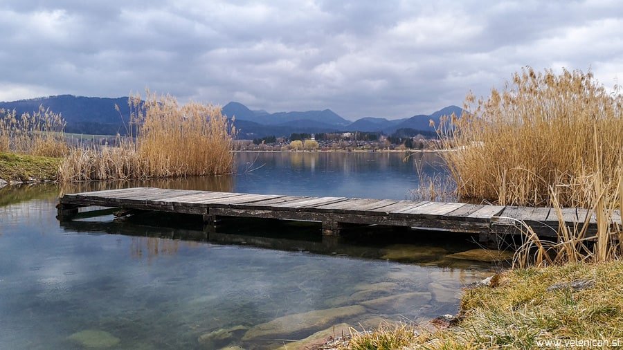 Kaj se v petek, 08. 03., dogaja v Velenju in okolici?