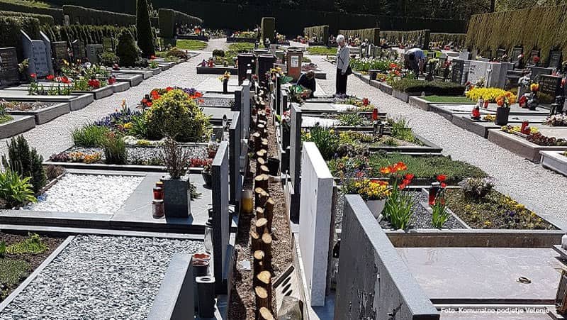 Odrez cipres na pokopališču Podkraj