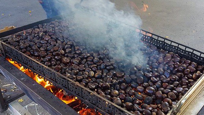 Tradicionalni kostanjev piknik na Cankarjevi