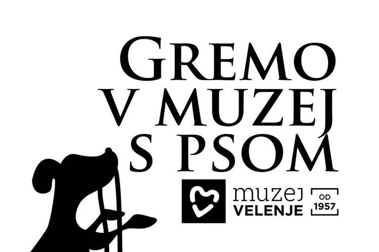 Voden ogled Velenjskega gradu s pasjimi prijatelji